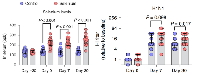 免疫力低补硒有用吗（吃硒酵母可以提高免疫力吗）-硒宝网