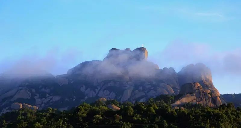 富硒八仙茶价格(八仙茶叶多少钱)-硒宝网