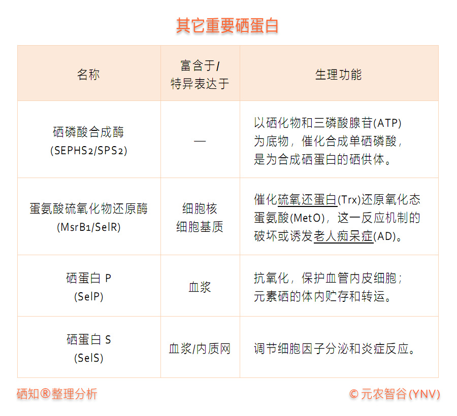 硒的提取方法(如何提取硒元素)-硒宝网