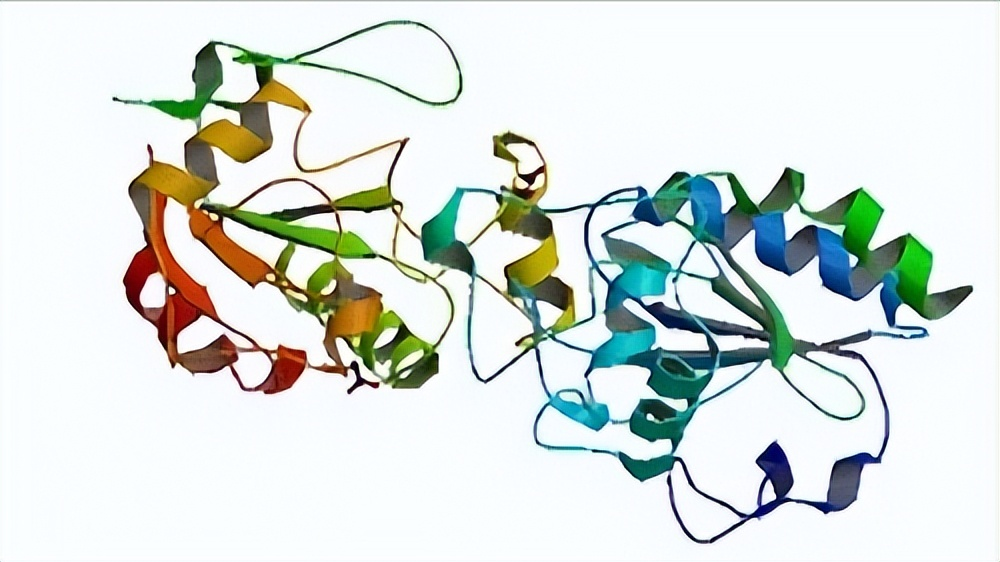 硒的功能是什么（硒主要功能）-硒宝网