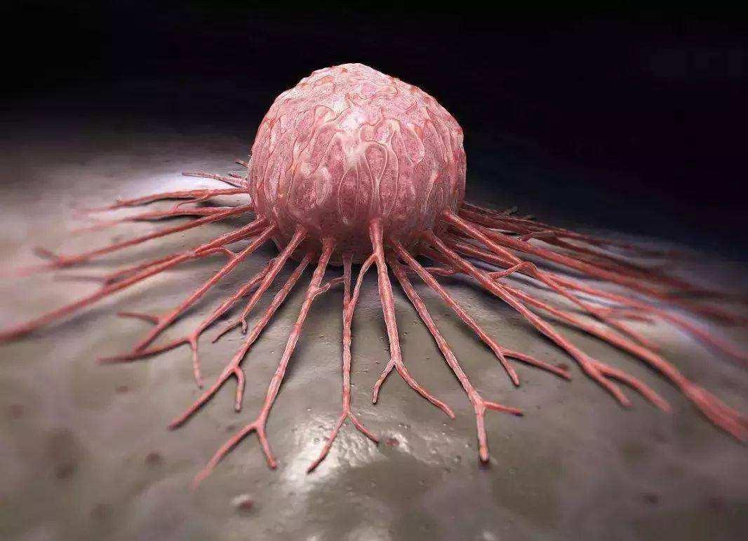 硒的功能是什么(硒的七大作用)-硒宝网