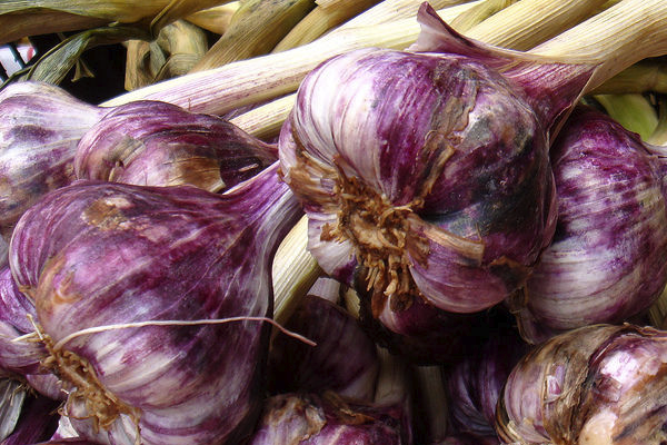 含硒的蔬菜和水果(蔬菜水果含硒量丰富)-硒宝网