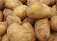 陕西富硒茶的功效与作用（陕西富硒茶属于什么茶）-硒宝网