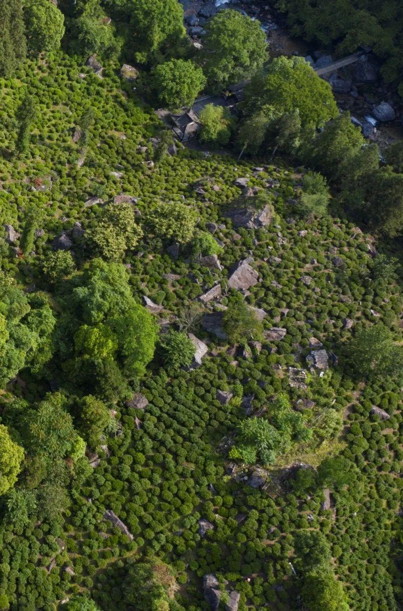 中国十大富硒县（中国富硒第一村）-硒宝网