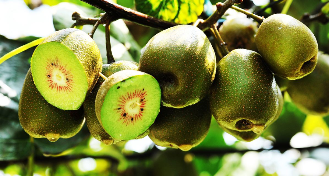 中国十大富硒县（中国富硒第一村）-硒宝网