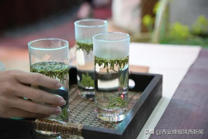 陕西安康富硒茶（富硒茶哪里产的最好）-硒宝网