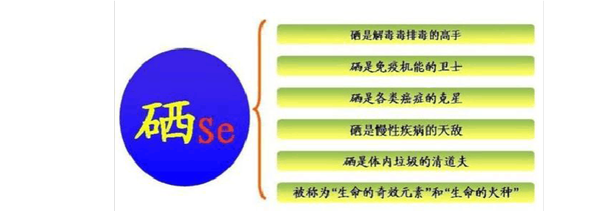 微量元素硒对身体有什么好处(微量元素硒含量高的食物)-硒宝网