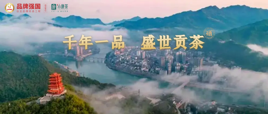 富硒白茶是什么茶(富硒白茶是白茶吗)-硒宝网