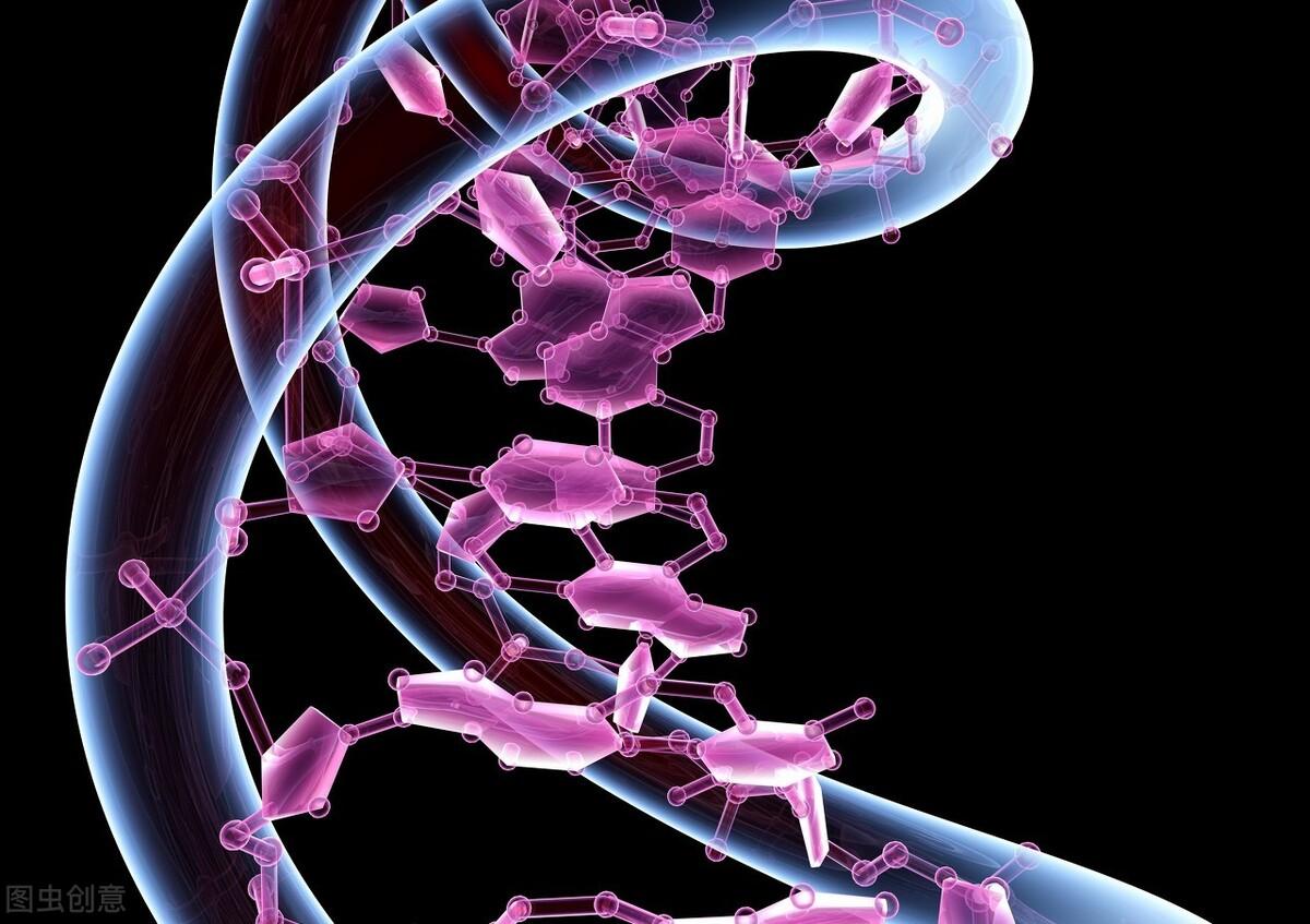 高嘌呤食物一览表2023(高嘌呤食物有哪几种)-硒宝网