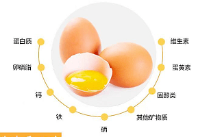 宝宝可以吃富硒鸡蛋吗（鸡蛋宝宝吃富硒可以补钙吗）-硒宝网