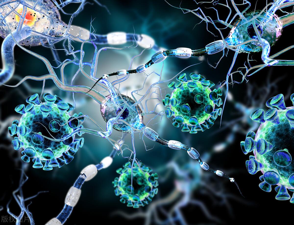 什么东西含有硒(含硒的东西吃了有啥好处)-硒宝网