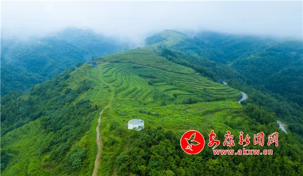 安康市富硒产业发展现状(安康富硒资源普查)-硒宝网