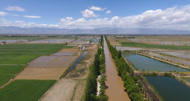 中卫富硒西瓜（关于富硒西瓜的种植技术）-硒宝网
