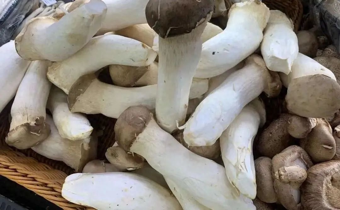 什么东西含有硒(哪些食物含硒)-硒宝网