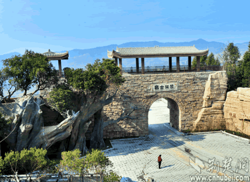 我国富硒地区有哪些(中国富硒地区都有哪几个地方)-硒宝网