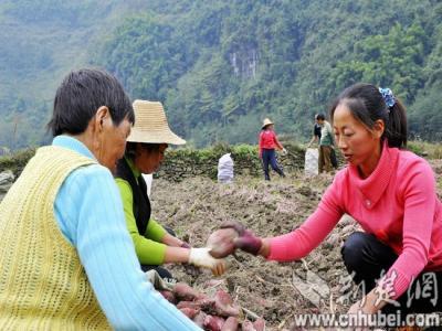 我国富硒地区有哪些(中国富硒地区都有哪几个地方)-硒宝网