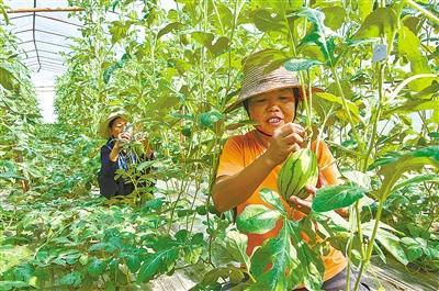 我国富硒地区有哪些(中国富硒地区都有哪几个地方)-硒宝网
