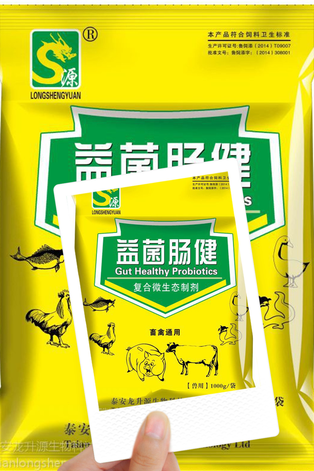 富硒鸡蛋是怎么产生的(富硒鸡蛋原料配方)-硒宝网