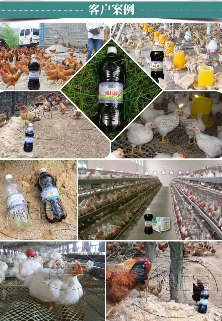 富硒鸡蛋是怎么产生的(富硒鸡蛋原料配方)-硒宝网