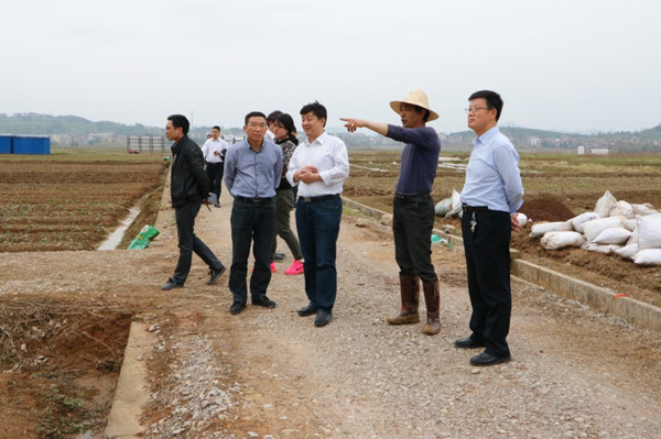 新田富硒之乡(新田富硒农产品公司)-硒宝网