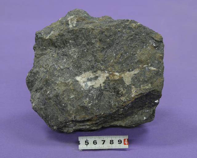 硒对人体有什么作用(硒有什么作用和功效)-硒宝网