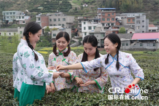 富硒茶是什么品牌(中国十大富硒茶品牌)-硒宝网