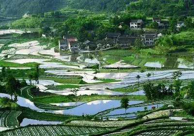 富硒地区有哪些（富硒含量最多的地方）-硒宝网