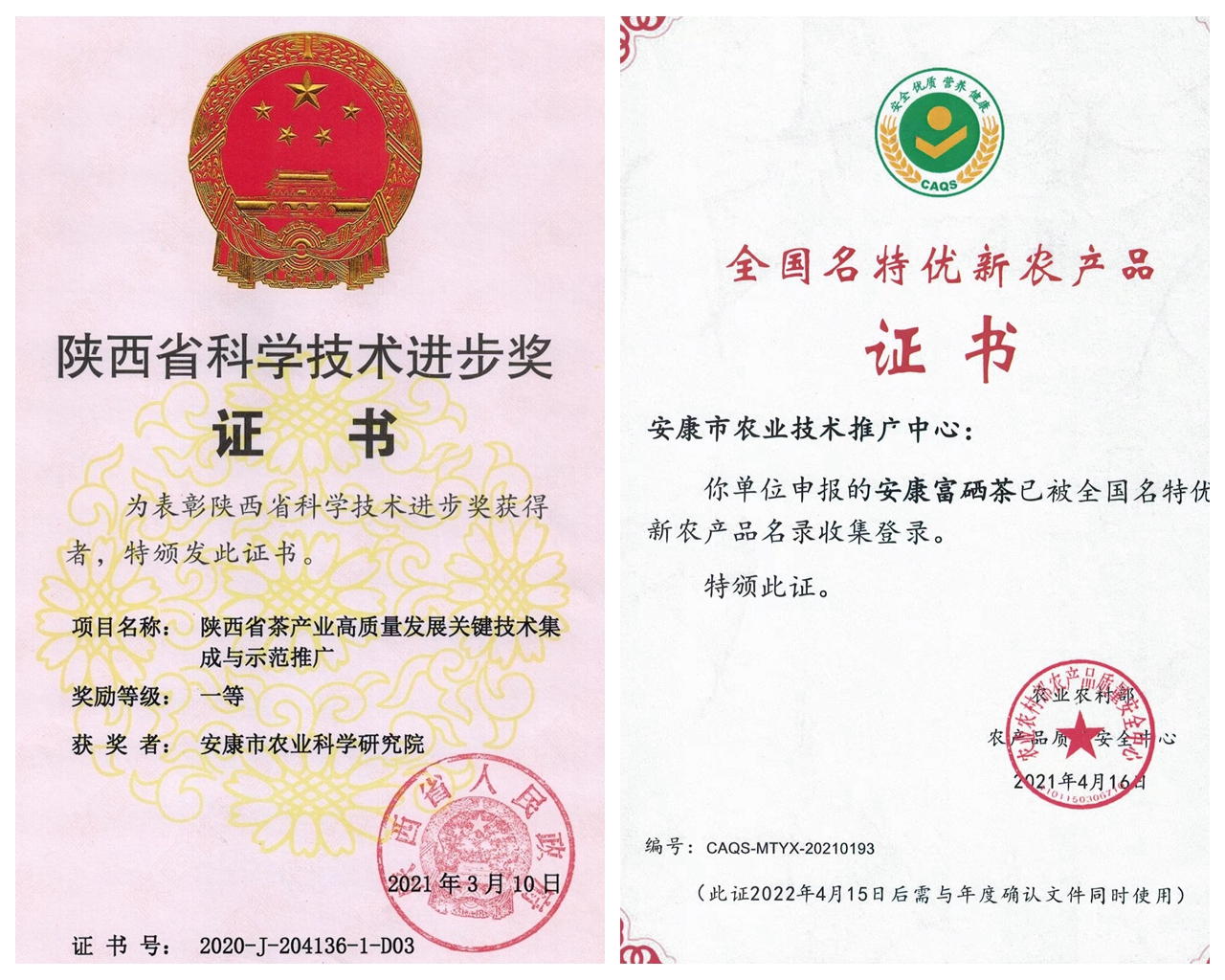 安康富硒茶发展情况(安康硒茶产业分析)-硒宝网