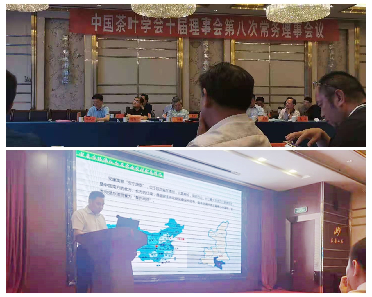 安康富硒茶发展情况(安康硒茶产业分析)-硒宝网