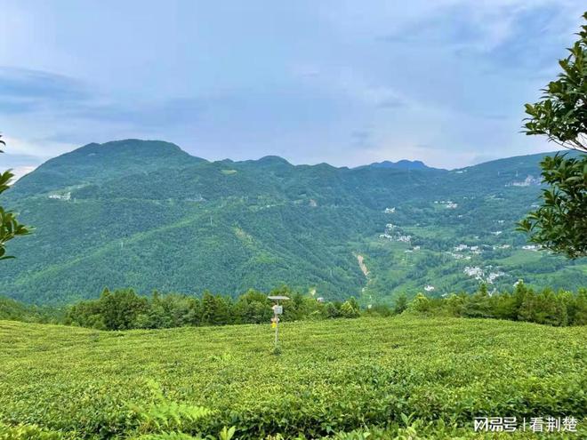 湖北恩施富硒(湖北恩施富硒地域集中在哪里)-硒宝网