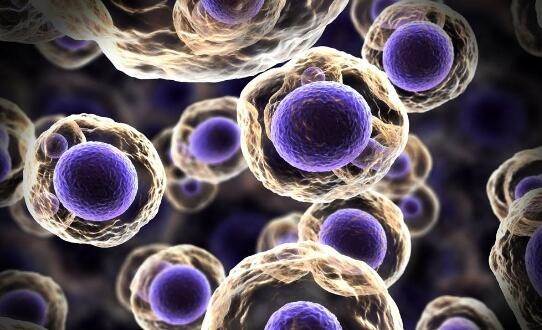 hpv每天补充多少硒(每天补充硒元素有什么不好)-硒宝网