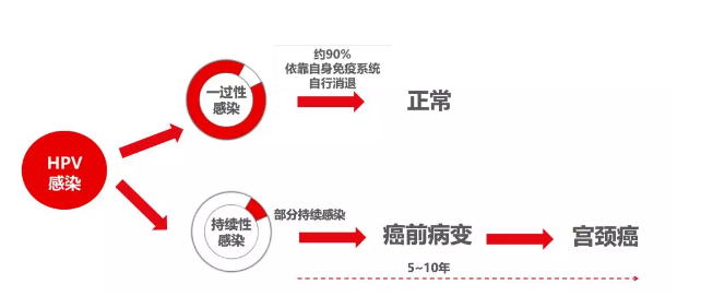 hpv每天补充多少硒(每天补充硒元素有什么不好)-硒宝网