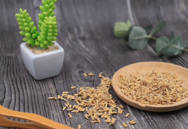 hpv每天补充多少硒(每天补充硒元素有什么不好)-硒宝网