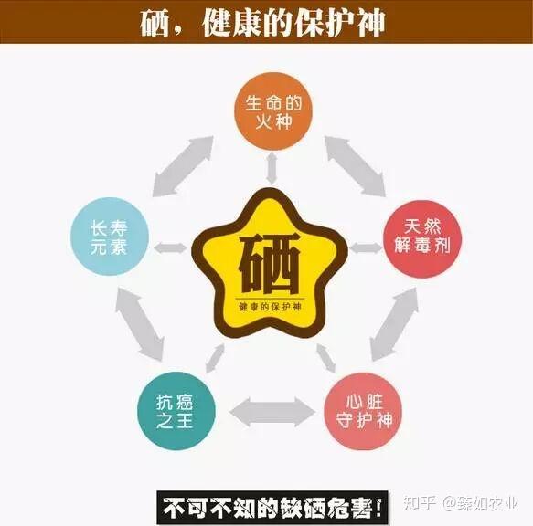 硒元素对人体的作用真的这么神奇(硒元素的作用及害处)-硒宝网