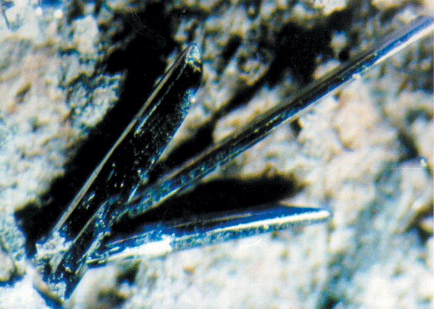 恩施富硒含量多的是什么地方(恩施富硒含量多少)-硒宝网