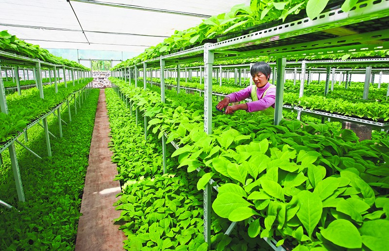 恩施富硒含量多的是什么地方(恩施富硒含量多少)-硒宝网