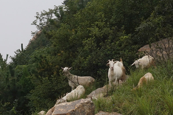 湖北恩施富硒（恩施有哪些富硒食品）-硒宝网