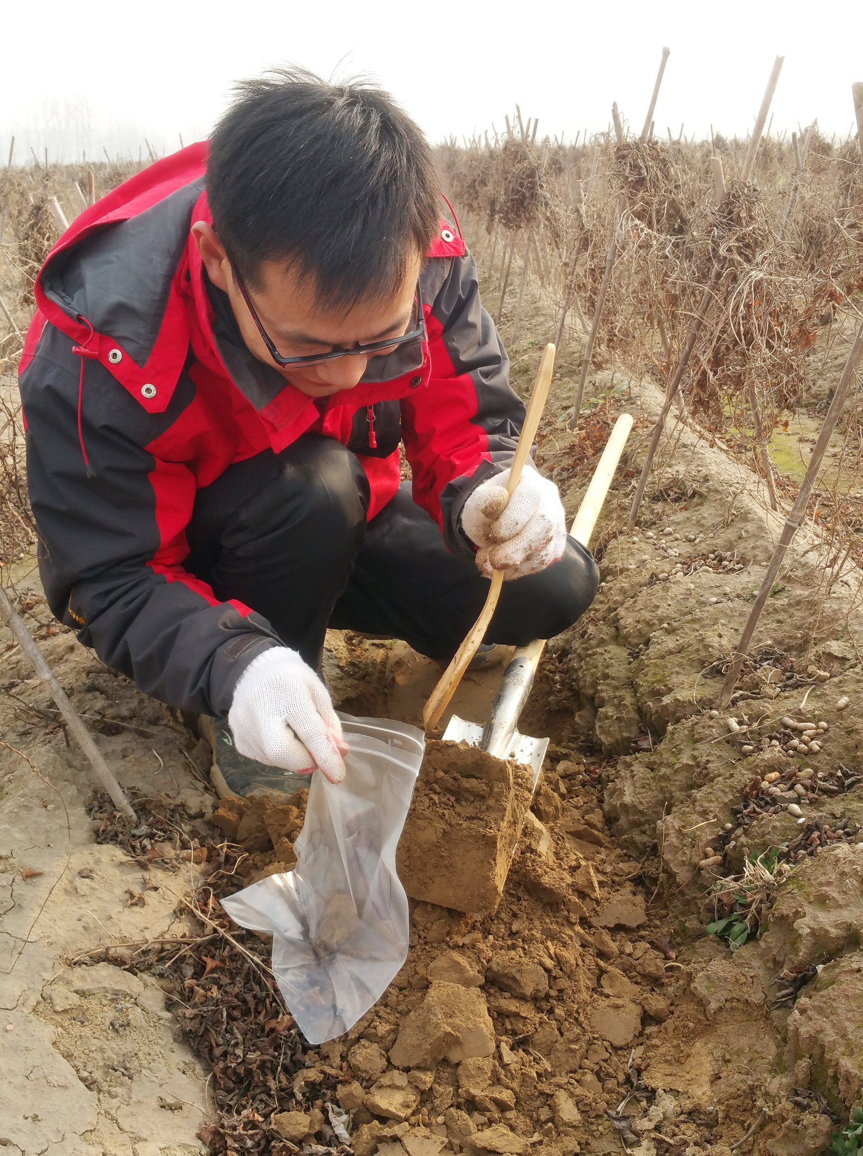 浙江富硒地区（浙江富硒地区分布图）-硒宝网