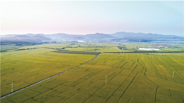 浙江富硒地区(浙江含硒丰富的地方)-硒宝网