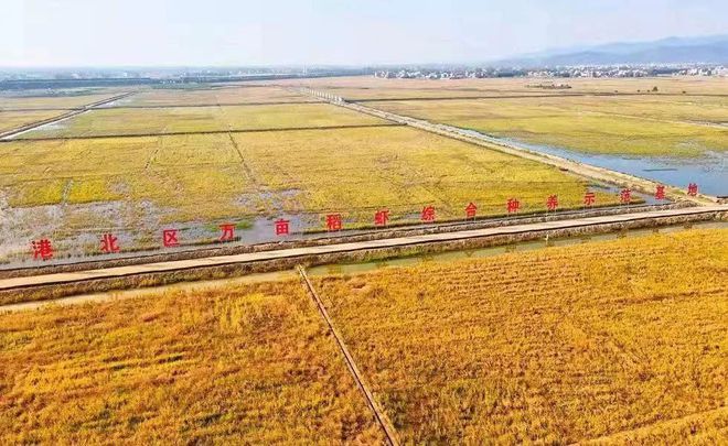 浙江富硒地区(浙江含硒丰富的地方)-硒宝网