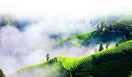 恩施富硒产品介绍（湖北恩施富硒土特产有什么）-硒宝网