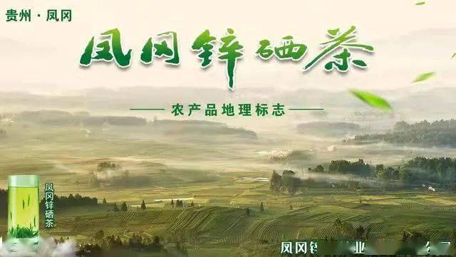 凤冈县锌硒茶(贵州三大名茶真有那么好吗)-硒宝网