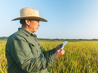 安徽富硒食品种类和富硒标准(食品标准富硒是指什么)-硒宝网