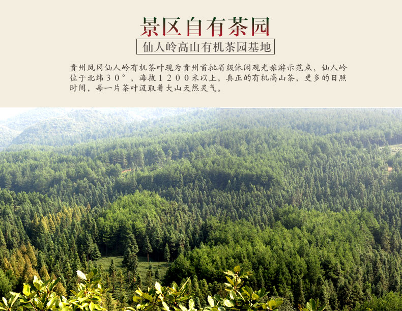 凤冈县最好的锌硒茶(锌硒茶厂品牌价值及排名)-硒宝网