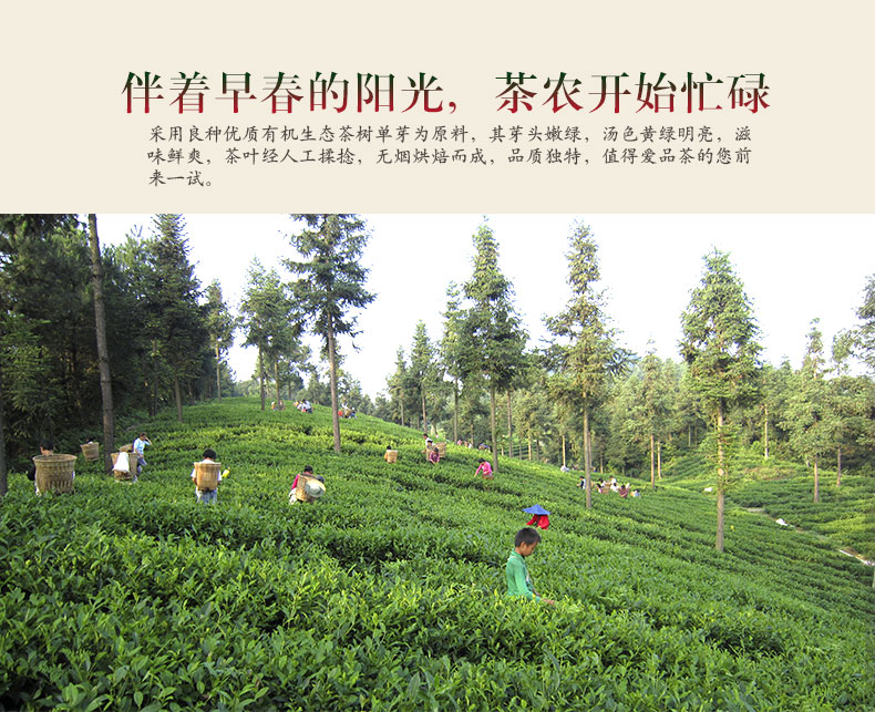 凤冈县最好的锌硒茶(锌硒茶厂品牌价值及排名)-硒宝网