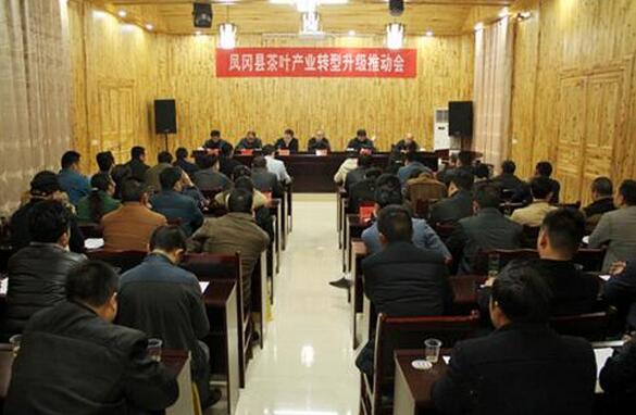 凤冈县锌硒茶发展的优势（凤冈县锌硒茶存在那些问题）-硒宝网