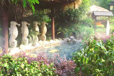 宜春明月山旅游攻略一日游(温汤镇富硒温泉疗养一个月费用)-硒宝网