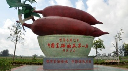 中国第一富硒村大山村介绍(中国含富硒三大地方)-硒宝网