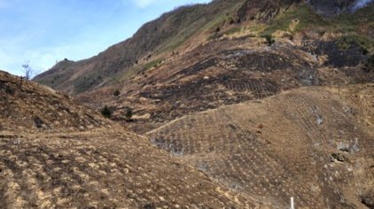 中国第一富硒村大山村介绍(中国含富硒三大地方)-硒宝网