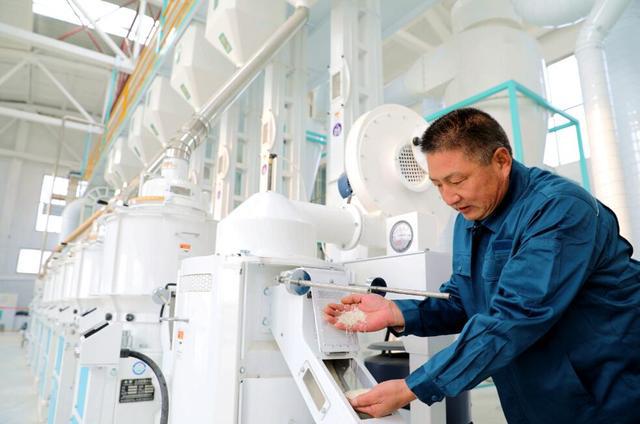 江西富硒米多少钱一斤(江西富硒米的好处)-硒宝网